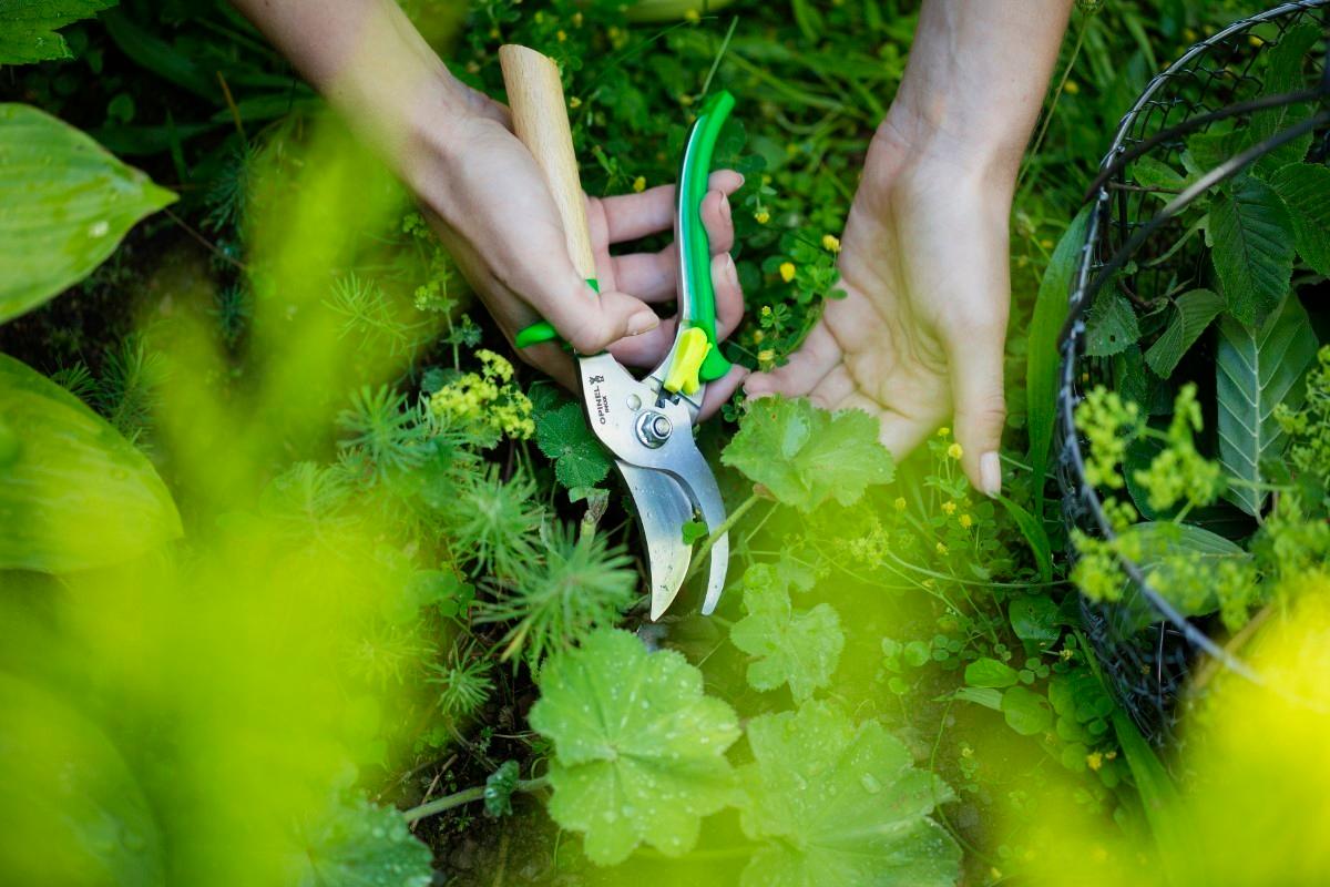 Opinel Zahradnické nůžky modré 001627