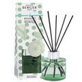 Maison Berger Paris Dolce mini difuzér s náplní Zest of Green Orange/Zelená pomerančová kůra 0,08l zelený 6858