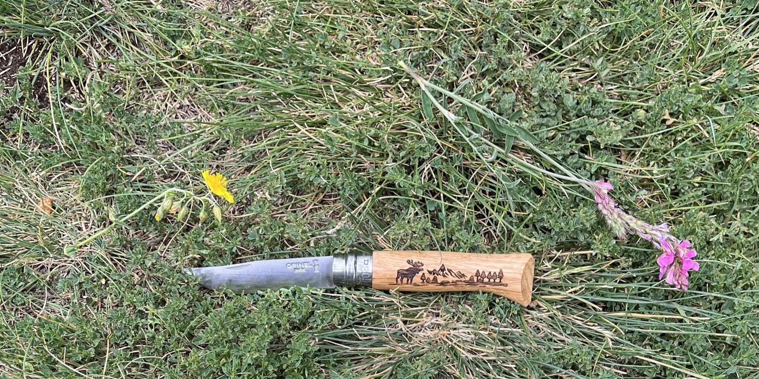 Opinel VRI N°08 Inox Animalia 2023  motiv medvěd 002628