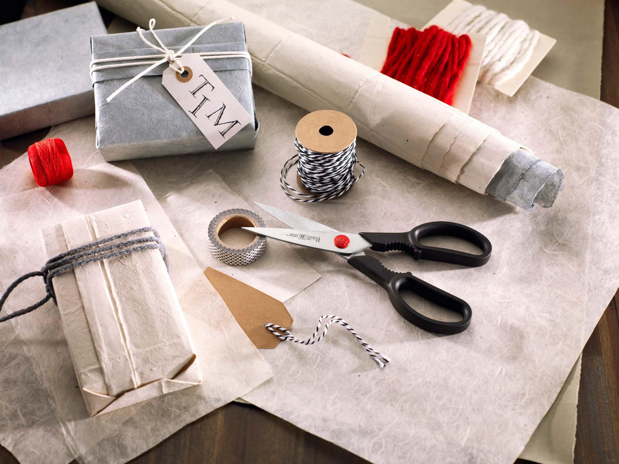 Zwilling TWIN L nůžky víceúčelové 20,5 cm 1005566