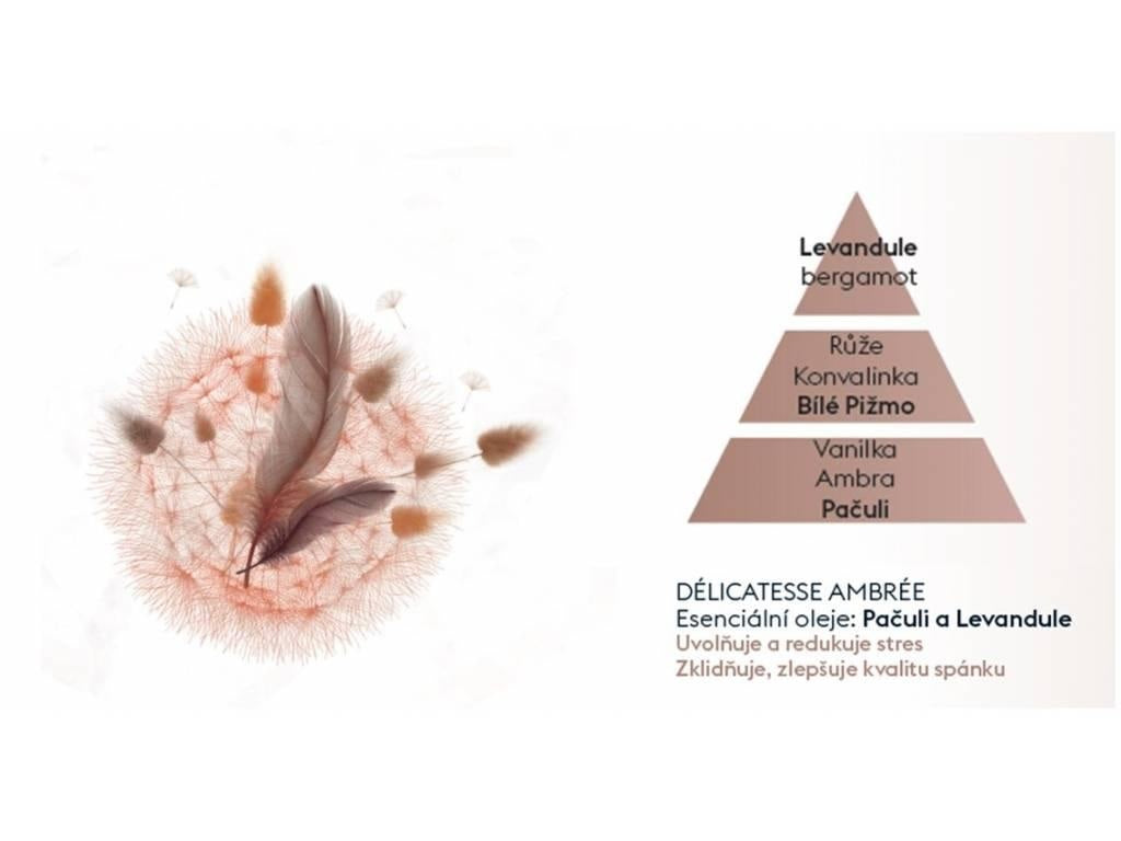 Maison Berger Paris Aroma Dream Delicate Amber/Jemná Ambra náplň do difuzéru 0,2l 6245