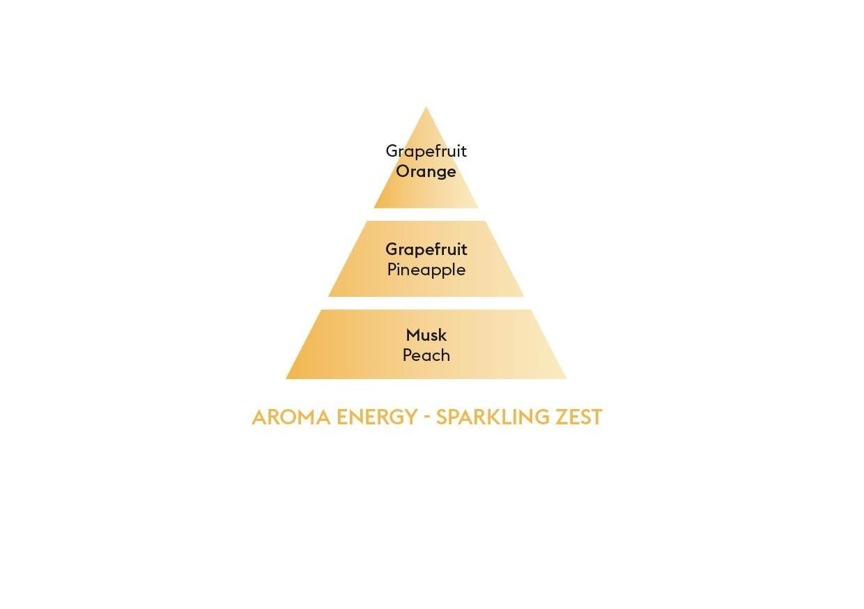 Maison Berger Paris Aroma Energy Sparkling zest/Čerstvé tonikum náplň do difuzéru 0,2l 6283