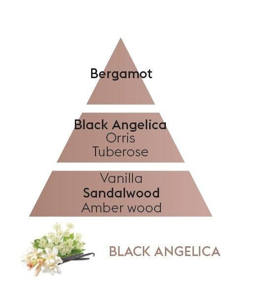 Maison Berger Paris Black Angelica/Černá Angelica difuzér s náplní kostka 0,1l 7745